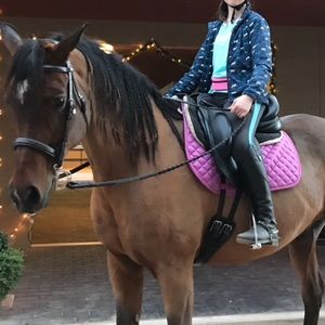 Dover Saddlery All Purpose Saddlepad